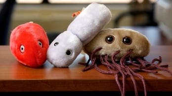U.S. Company's Stuffed Germ Toys Catching On