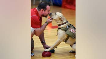 Sniff myth, busted: Humans can smell as well as dogs