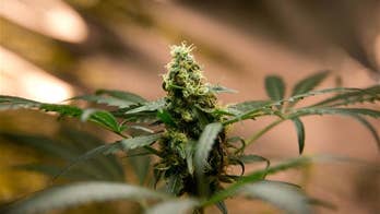 Marijuana extract may help kids with severe epilepsy