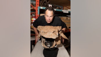 This new dinosaur looks like Zuul from Ghostbusters