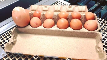 Farmer finds remarkable 'egg-within-an-egg'