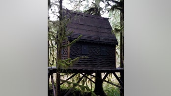 Man charged after child pornography stash found in remote 'gingerbread treehouse'