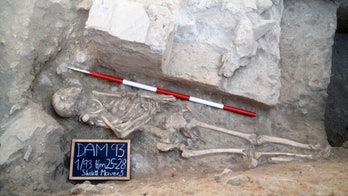 Gladiator Gatorade: Ancient fighters drank tangy 'sports drink'