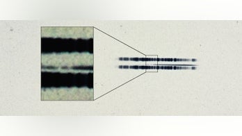 1917 glass plate offers oldest evidence of exoplanetary system