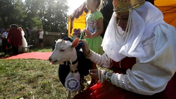 Lithuanian village crowns prettiest goat