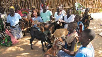Give a goat this holiday season