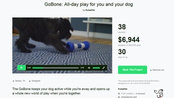 Introducing GoBone: The smartest dog toy in the basket