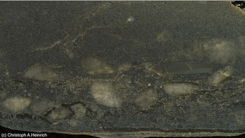 World's biggest trove of gold built by ancient 'secret agents'