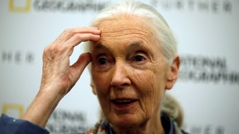 One of Jane Goodall's heroes is murdered in Tanzania