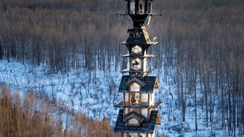 Can You Really Live in a Dr. Seuss House?