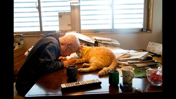 Moving photos show special bond between grandpa with Alzheimer's and pet cat