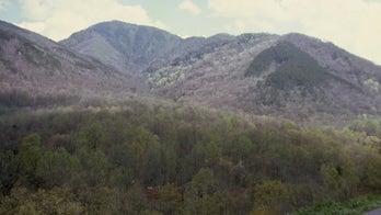 Small plane disappears in eastern Tennessee mountains with 3 aboard