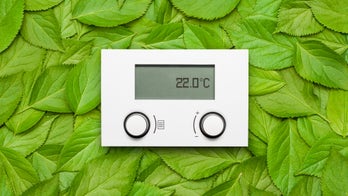 5 Simple Ways to Green Your Apartment