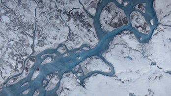 Why is Greenland's ice getting darker?