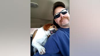 Ohio shelter dog's 'freedom ride' photo goes viral