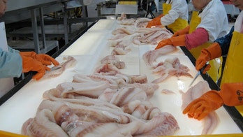 Eat up! Nearly two dozen fish species now deemed sustainable