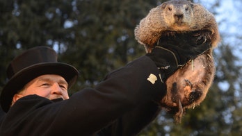 Groundhog Day festivities and a look at Punxsutawney Phil's accuracy
