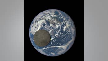 As the world turns: Life could speed up a planet's spin