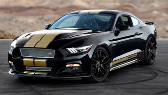 Ford Shelby GT-H is ready to...rent
