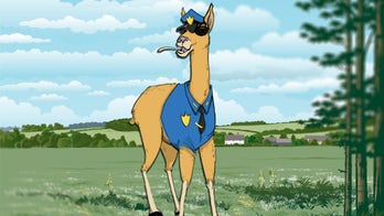 Guard Dog Not Doing the Job? Maybe You Need a Guard Llama