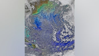 Dying Gulf Stream may trigger a global nightmare