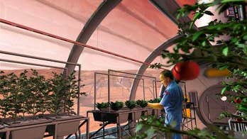 Farming on Mars? NASA ponders food supply for 2030 mission