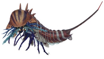 This tiny sea monster had creepy mouth appendages