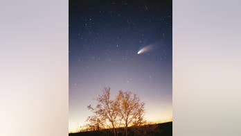 Interstellar comet dust holds clues about the solar system