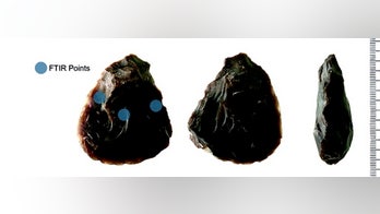 Humans butchered elephants 500,000 years ago, ancient tool suggests