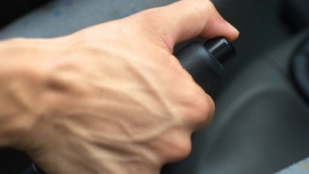 Is the handbrake grappling with extinction?