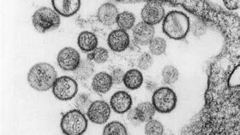 Child in northeast North Dakota diagnosed with rare, potentially deadly hantavirus