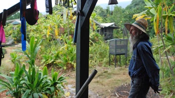 Battling outbreak, Hawaii faces small staff, pesticide fears