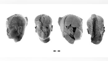 4,300-year-old statue head depicts mystery pharaoh
