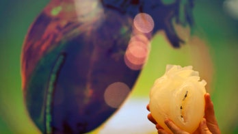 Is most younger women’s heart disease preventable?