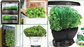 Best Indoor Herb Garden Kits Even Die-Hard Plant Killers Can't Mess Up