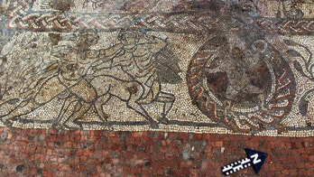 Amateur archaeologists unearth 1,600-year-old Roman mosaic