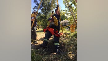 California dog rescued after 15-foot fall into storm drain