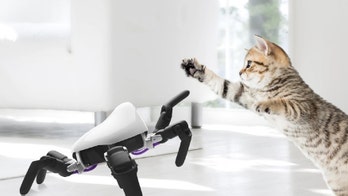5 weird and wonderful products powered by AI