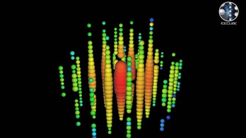 Neutrino telescopes launch new era of astronomy