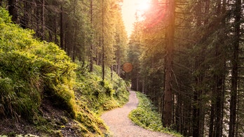 Tragic hiking accident leaves parents dead, 4-year-old injured