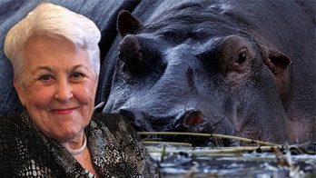 Michigan woman killed by hippo on African safari