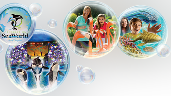 SeaWorld's Sea of Surprises