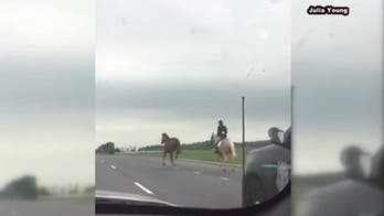 Teenager caught on camera stopping runaway horse on busy Maryland road