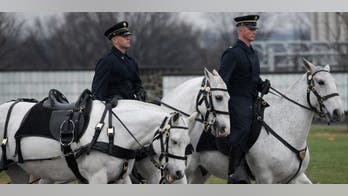 Two of Arlington National Cemetery's Caisson horses are up for adoption