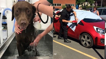 Police free two dogs left in 'blazing hot' car