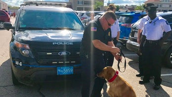 Massachusetts police rescue dog left in hot car at outlet mall
