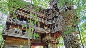 Tennessee tree house puts all other forest dwellings to shame