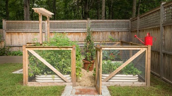 How to Grow the Edible Garden That's Right for You