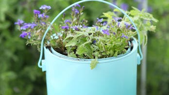 Household chores to prepare your home for fall