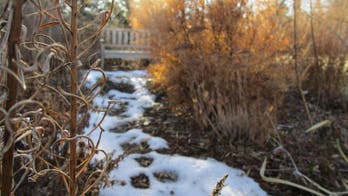 10 ways to enjoy your garden more this holiday season